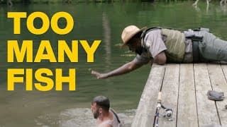 Mt. Mystic - Too Many Fish