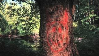 The Smiley Face Killers Trailer