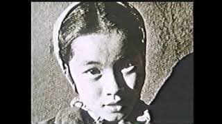 Excerpt: WATARIDORI: BIRDS OF PASSAGE by Robert Nakamura
