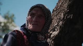 Trailer | Then Comes the Evening | Maja Novaković