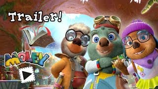 Official Boomerang Trailer