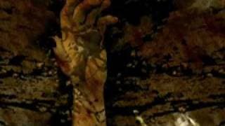 Saint Francis trailer