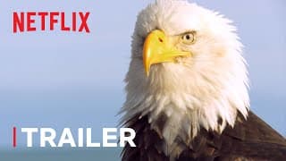 Absurd Planet Trailer 🌎 New Series Trailer | Netflix Futures