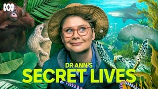 First Look | Dr Ann's Secret Lives | ABC iview
