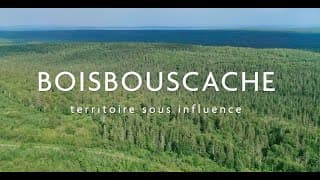 Boisbouscache | Bande-annonce officielle