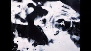 FLUIDS