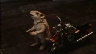 The Mouse and the Motorcycle - Excerpt