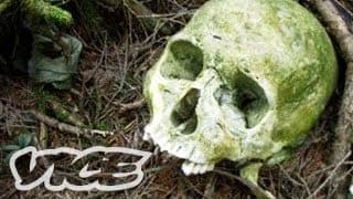 Suicide Forest in Japan