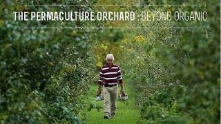 The Permaculture Orchard : Beyond Organic (Kickstarter video)