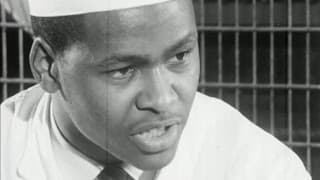 Immigrants (1965) - extract