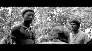 International Trailer