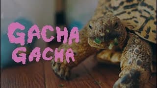 Gacha Gacha / ガチャガチャ (2018) - Trailer