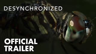 DESYNCHRONIZED | Official Trailer