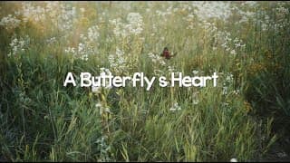 A Butterfly's Heart | Official Trailer [ENG SUB]