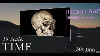 How We Built a Scale Model of Time