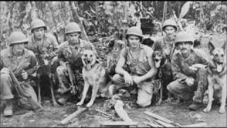 War Dogs on Military Channel *
