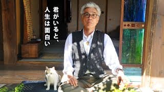 "Finding Calico" OFFICIAL TRAILER (English subtitled)