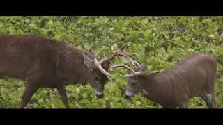 Heartland Bowhunter - Season 11 Trailer