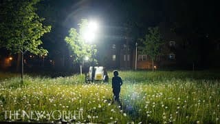 24/7 Surveillance Lighting: Who Is Watching—and Why? | The New Yorker Documentary