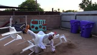 Crazy Chicken Flies Into Chairs