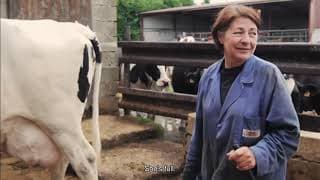 Excerpt | Cows With No Name | Hubert Charuel
