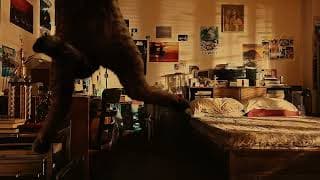 BOLD EAGLE Trailer - #QCinema2022