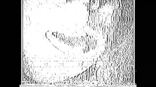 Analog Exposure (2022)