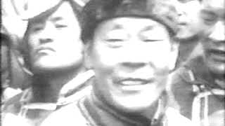 Ард Аюуш