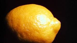 Lemon - Directed by Hollis Frampton (1969, 7 Mins)