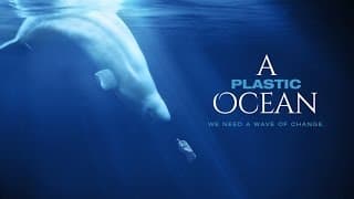 A Plastic Ocean Official Trailer