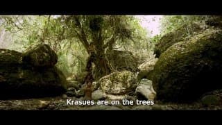 The Dwarves must be Crazy