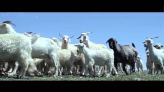 Territorios Extraordinarios
