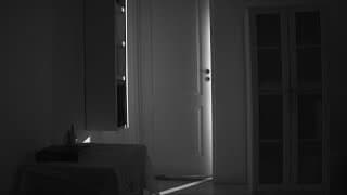 Metamorfosis - Trailer