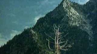"Don't Go In The Woods" trailer