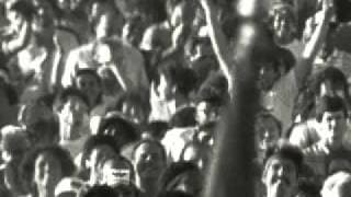 Bitter sugar trailer