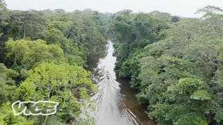 Unknown Amazon (Trailer)