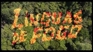 TONGUES OF FIRE teaser