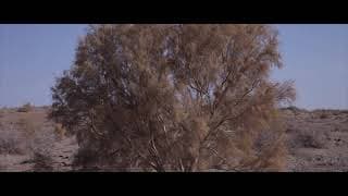 Gumai Trailer｜《古日乃》预告片