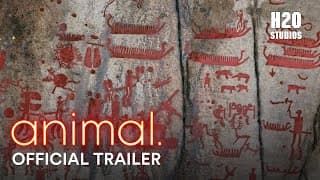 animal. | Official Trailer