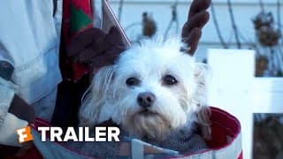 Charlie's Christmas Wish Trailer #1 (2020) | Fandango Family