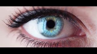 PHI: The Evolution of Consciousness Trailer