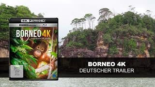 Borneo 4K (Deutscher Trailer) | HD | KSM