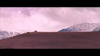 Film Trailer: Fishtail