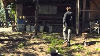 LA ARAÑA VAMPIRO - THE VAMPIRE SPIDER - TRAILER OFICIAL HD