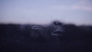 No Data Plan - Trailer | IFFR 2019