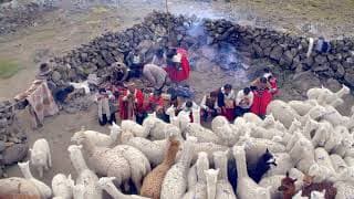 Hot Docs 2022 Trailer: PAKUCHA