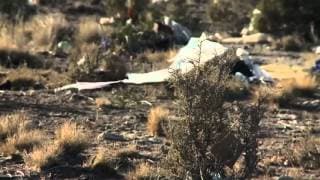 "Rawson", de Nahuel Machesich & Luciano Zito - Trailer