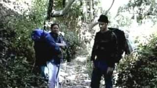 the bogus witch project
