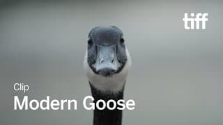MODERN GOOSE Clip | TIFF 2023