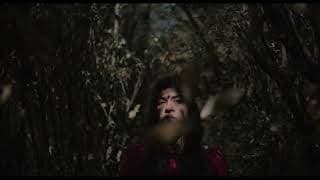 Largo camino al amanecer / Long Journey Till Dawn -  Trailer